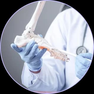 Physician examining an orthopedic bone model